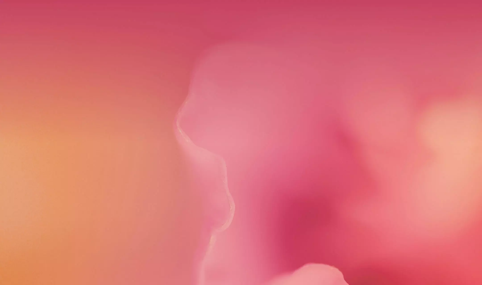 bg1